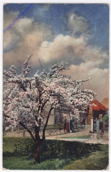 Im Frühling