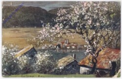 Dorfansicht im Frühling