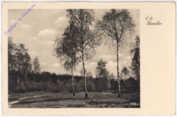 ak198364 O du Heimatflur