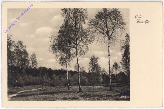 ak198364 O du Heimatflur
