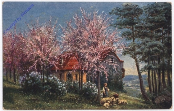 Ansicht im Frühling
