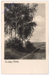 ak198375 Ein schattiges Plätzchen
