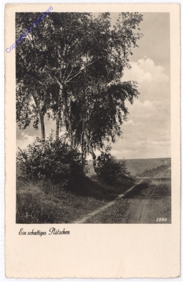 ak198375 Ein schattiges Plätzchen