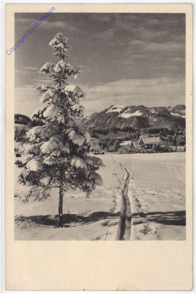 ak198396 Ein Weg im Schnee