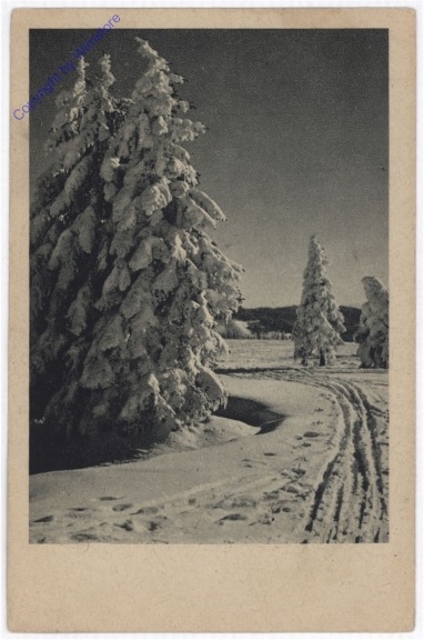 ak198398 Weg im Schnee