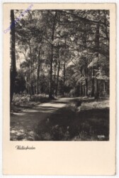 ak198401 Waldesfrieden