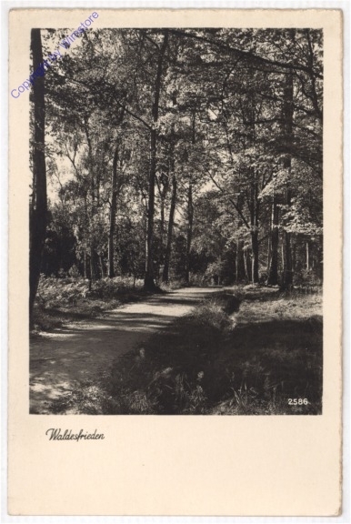 Waldesfrieden