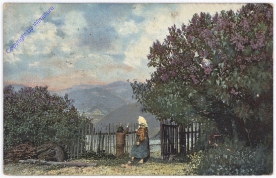 Am Gartenzaun
