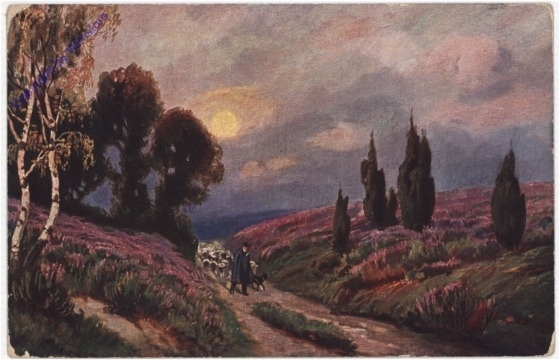 Am Weg durch die Heide