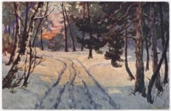 ak198412 Verschneiter Weg im Wald