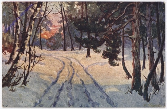 Verschneiter Weg im Wald