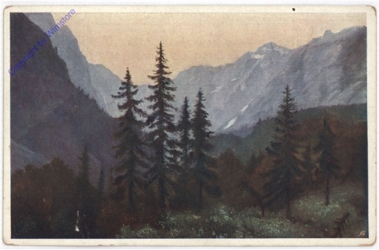 ak198419 Waldansicht