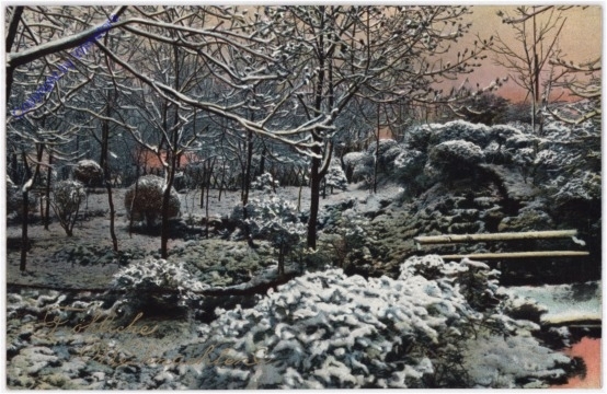ak198421 Verschneiter Garten
