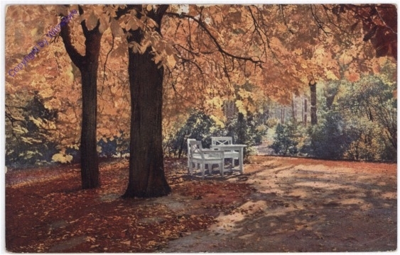Herbst im Garten