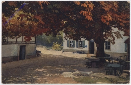 Hausbaum