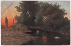 ak198434 Schwäne am Teich