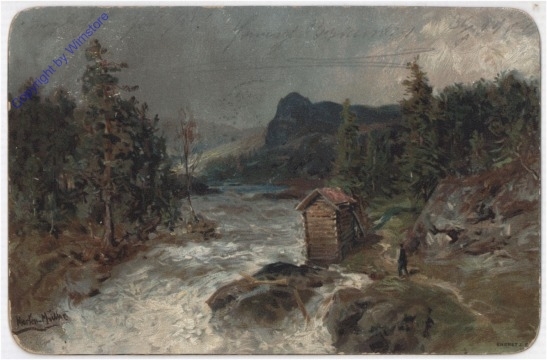 Wilder Fluss