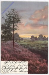 Blick über die Heide