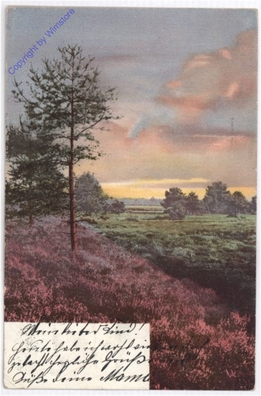 Blick über die Heide