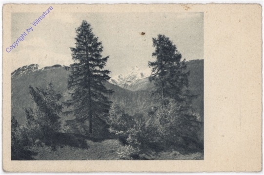 ak198460 Wald