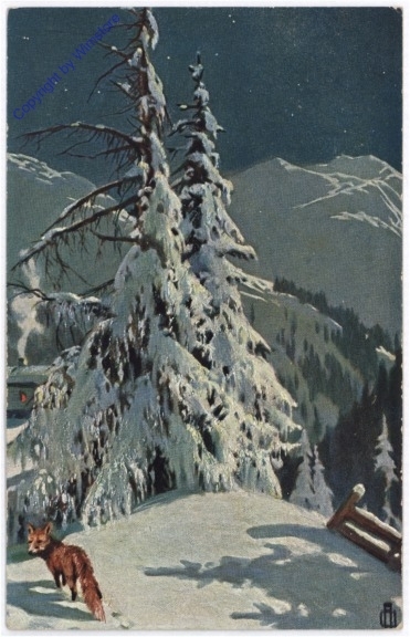 ak198464 Fuchs im Schnee