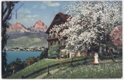 ak198466 Ansicht im Frühling