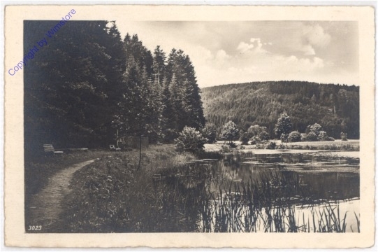 Blick auf  den See