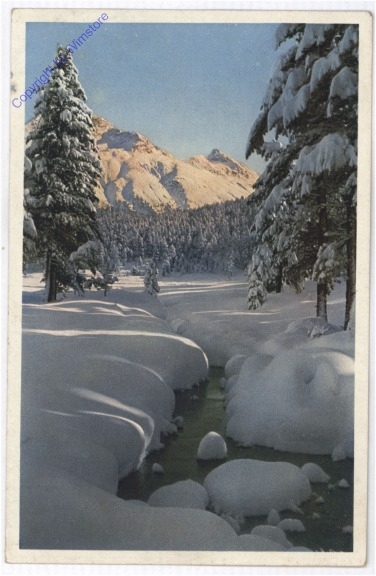 Bach im Winter