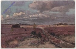 Landschaft