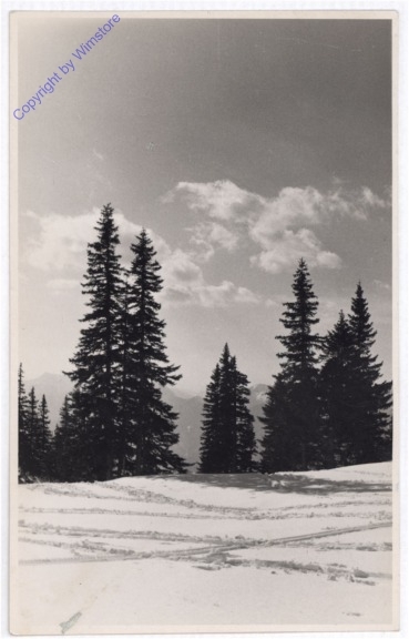Winterwald