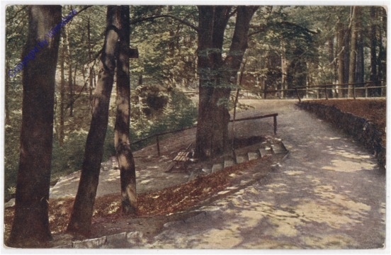 Waldlichtung