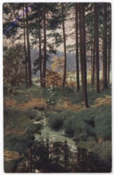 ak198507 Bach im Wald
