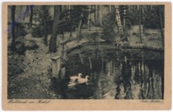 ak198508 Waldteich im Herbst