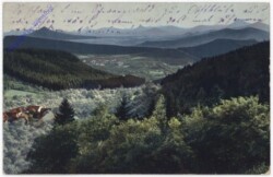 Blick ins Tal
