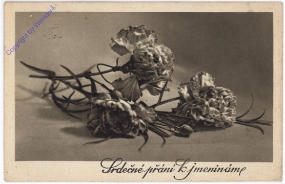 Trockenblumen