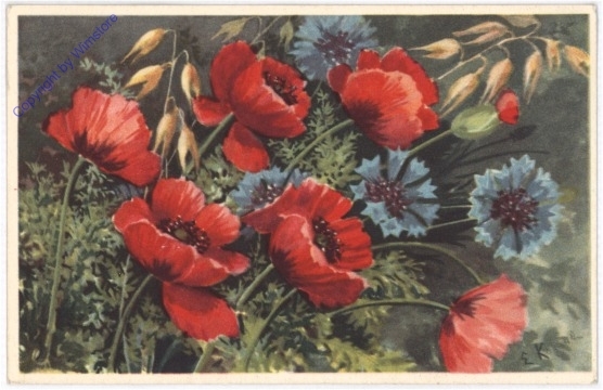 ak198706 Anemonen