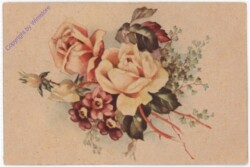 Rosen
