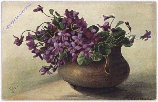 Veilchen