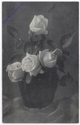 Rosen