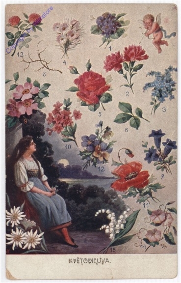 Blumen und ihre Bedeutung