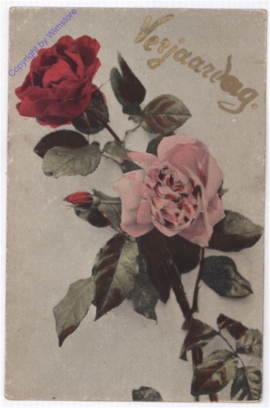 Zwei Rosen