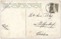 Blühende Zweige