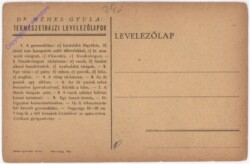 Löwenzahn