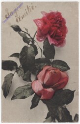 Rosen