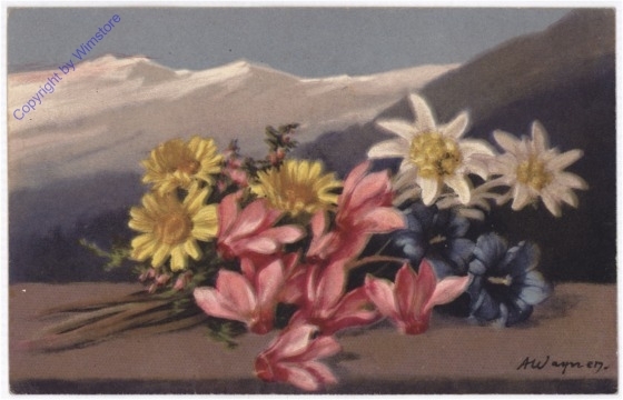 ak198738 Alpenblumen