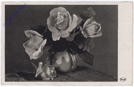 Rosen