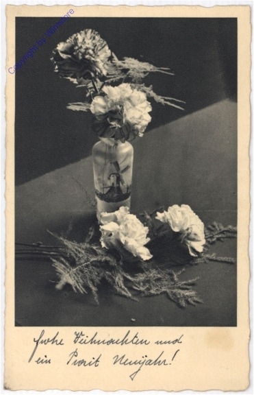 Nelken in Vase