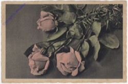 Rosen