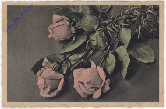 Rosen