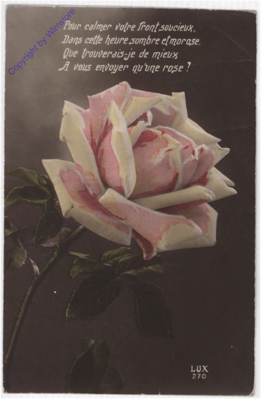 Rose mit Vers